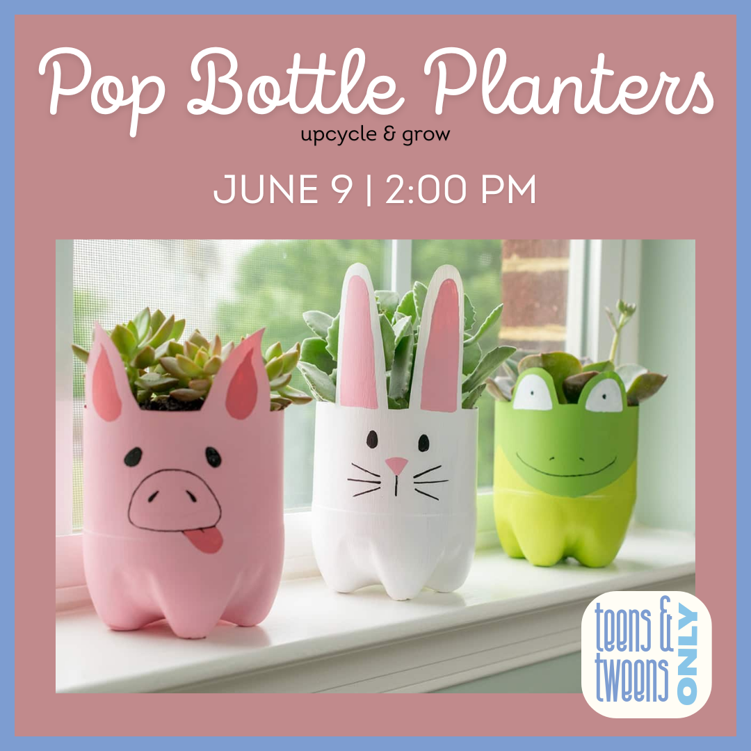 Pop bottle planters
