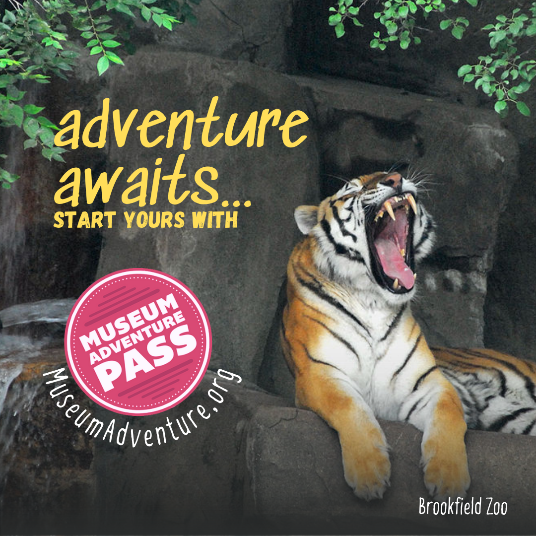 Click to use Museum Adventure Pass