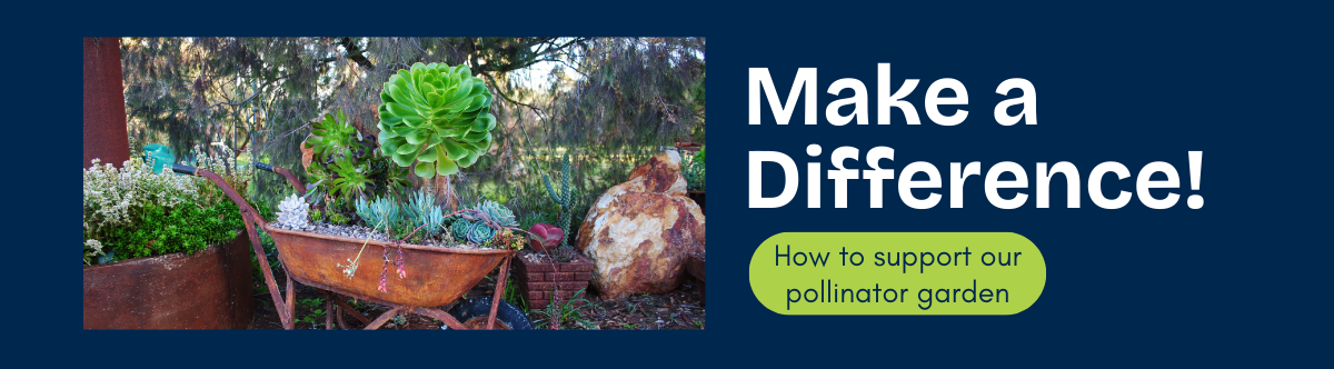 Make a difference. How to support our pollinator garden